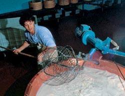 Журнал «Вокруг Света» №07 за 2007 год - TAG_img_cmn_2007_05_07_027_jpg998879