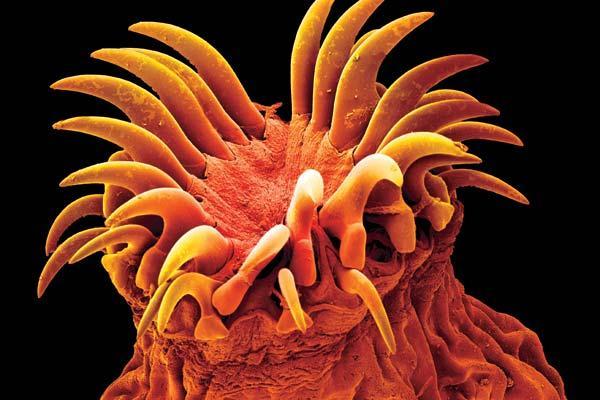 Журнал «Вокруг Света» №07 за 2008 год - TAG_img_cmn_2008_06_02_025_jpg861041