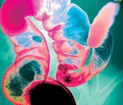 Журнал «Вокруг Света» №07 за 2008 год - TAG_img_cmn_2008_07_04_015_jpg531980