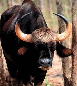 Журнал «Вокруг Света» №07 за 2008 год - TAG_img_cmn_2008_07_04_033_jpg715372