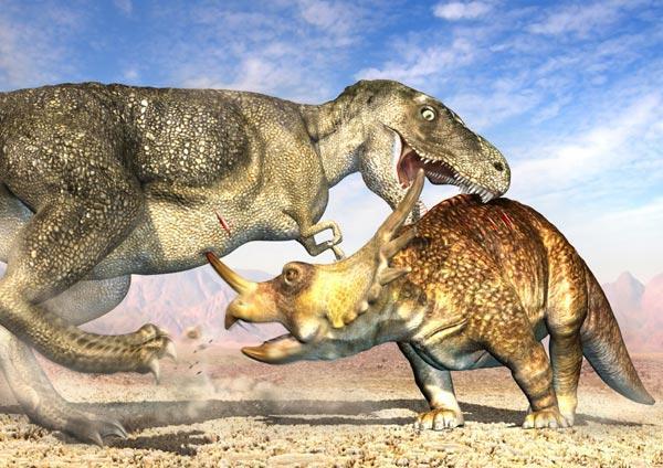 Журнал «Вокруг Света» №07 за 2008 год - TAG_img_cmn_2008_07_08_009_jpg376465