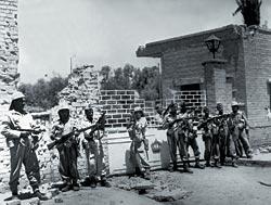 Журнал «Вокруг Света» №07 за 2008 год - TAG_img_cmn_2008_07_11_005_jpg530041