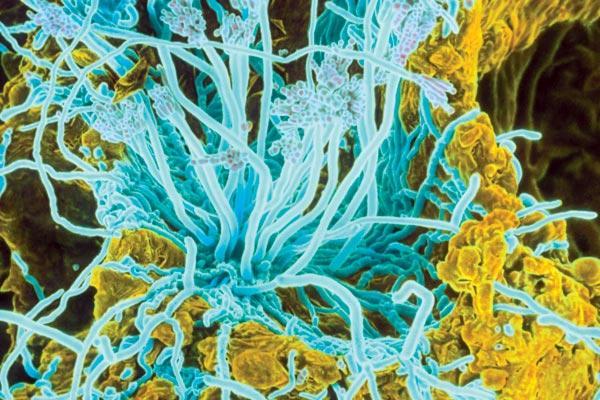 Журнал «Вокруг Света» №07 за 2009 год - TAG_img_cmn_2009_06_25_003_jpg727298