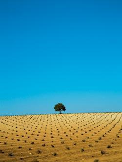 Журнал «Вокруг Света» №07 за 2009 год - TAG_img_cmn_2009_09_16_009_jpg99738