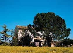 Журнал «Вокруг Света» №07 за 2009 год - TAG_img_cmn_2009_09_16_019_jpg936532