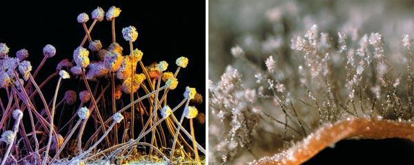 Журнал «Вокруг Света» №07 за 2009 год - TAG_img_cmn_2009_09_25_016_jpg438187