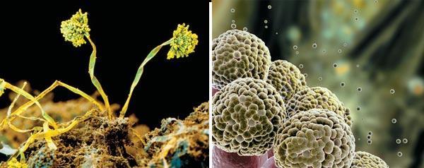 Журнал «Вокруг Света» №07 за 2009 год - TAG_img_cmn_2009_09_25_017_jpg169249