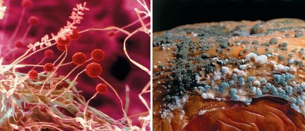 Журнал «Вокруг Света» №07 за 2009 год - TAG_img_cmn_2009_09_25_018_jpg368930