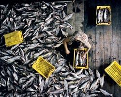 Журнал «Вокруг Света» №07 за 2010 год - TAG_img_cmn_2010_09_13_023_jpg445100