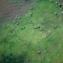 Журнал «Вокруг Света» №07 за 2010 год - TAG_img_cmn_2010_09_15_015_jpg3044