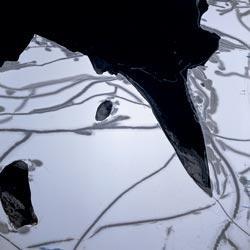 Журнал «Вокруг Света» №07 за 2010 год - TAG_img_cmn_2010_09_15_017_jpg102272