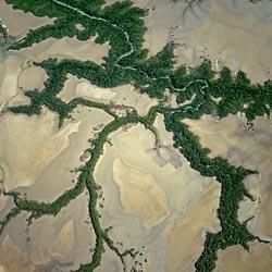 Журнал «Вокруг Света» №07 за 2010 год - TAG_img_cmn_2010_09_15_019_jpg238415