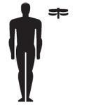 Журнал «Вокруг Света» №07 за 2010 год - TAG_img_cmn_2010_09_17_020_jpg976318