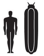 Журнал «Вокруг Света» №07 за 2010 год - TAG_img_cmn_2010_09_17_026_jpg158587