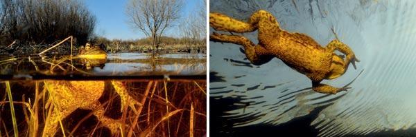 Журнал «Вокруг Света» №07 за 2010 год - TAG_img_cmn_2010_09_17_030_jpg834729