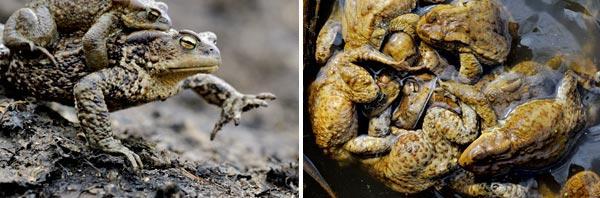 Журнал «Вокруг Света» №07 за 2010 год - TAG_img_cmn_2010_09_17_031_jpg442747