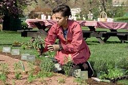 Журнал «Вокруг Света» №07 за 2010 год - TAG_img_cmn_2010_09_22_002_jpg647826