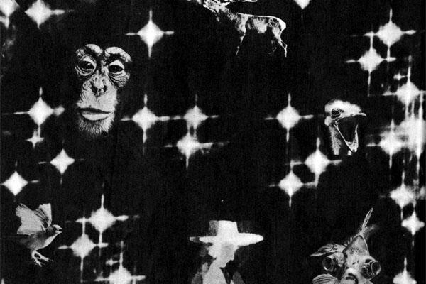 Журнал «Вокруг Света» №08 за 1973 год - TAG_img_cmn_2007_07_25_024_jpg874614