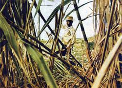 Журнал «Вокруг Света» №08 за 1979 год - TAG_img_cmn_2007_10_09_012_jpg707556