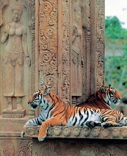 Журнал «Вокруг Света» №08 за 2007 год - TAG_img_cmn_2007_06_30_068_jpg521227