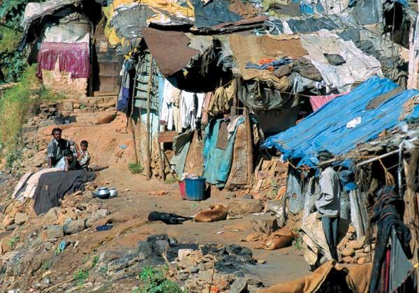 Журнал «Вокруг Света» №08 за 2007 год - TAG_img_cmn_2007_07_01_021_jpg995021