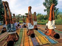 Журнал «Вокруг Света» №08 за 2007 год - TAG_img_cmn_2007_07_01_029_jpg972123