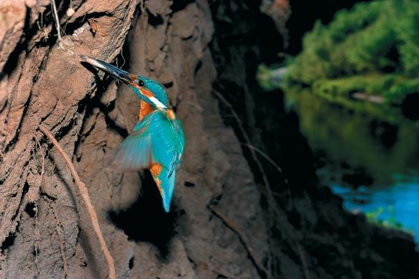 Журнал «Вокруг Света» №08 за 2009 год - TAG_img_cmn_2009_07_23_011_jpg965550