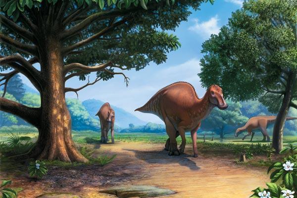 Журнал «Вокруг Света» №08 за 2009 год - TAG_img_cmn_2009_07_23_015_jpg895040