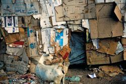 Журнал «Вокруг Света» №08 за 2009 год - TAG_img_cmn_2009_10_20_009_jpg441521