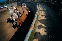 Журнал «Вокруг Света» №08 за 2009 год - TAG_img_cmn_2009_10_26_016_jpg562863