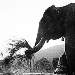 Журнал «Вокруг Света» №08 за 2010 год - TAG_img_cmn_2010_10_15_011_jpg743319