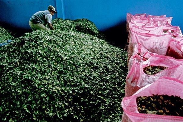 Журнал «Вокруг Света» №08 за 2010 год - TAG_img_cmn_2010_07_19_016_jpg664068