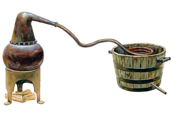 Журнал «Вокруг Света» №08 за 2010 год - TAG_img_cmn_2010_07_21_005_jpg972550