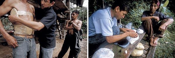 Журнал «Вокруг Света» №08 за 2010 год - TAG_img_cmn_2010_10_19_022_jpg277099