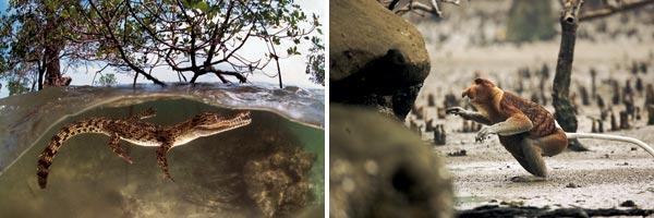 Журнал «Вокруг Света» №08 за 2010 год - TAG_img_cmn_2010_10_19_025_jpg237778