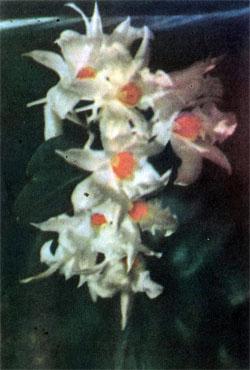 Журнал «Вокруг Света» №09 за 1976 год - TAG_img_cmn_2007_10_28_015_jpg797986