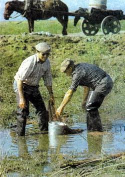 Журнал «Вокруг Света» №09 за 1987 год - TAG_img_cmn_2007_04_21_008_jpg306428