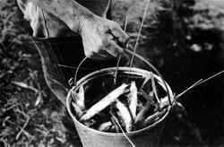 Журнал «Вокруг Света» №09 за 1987 год - TAG_img_cmn_2007_04_21_010_jpg497341