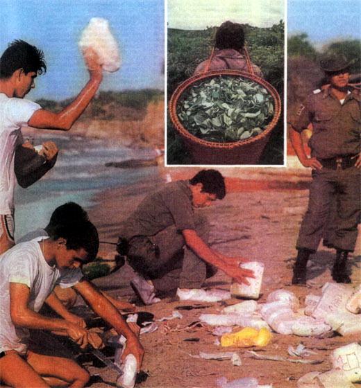 Журнал «Вокруг Света» №09 за 1987 год - TAG_img_cmn_2007_04_21_013_jpg421310