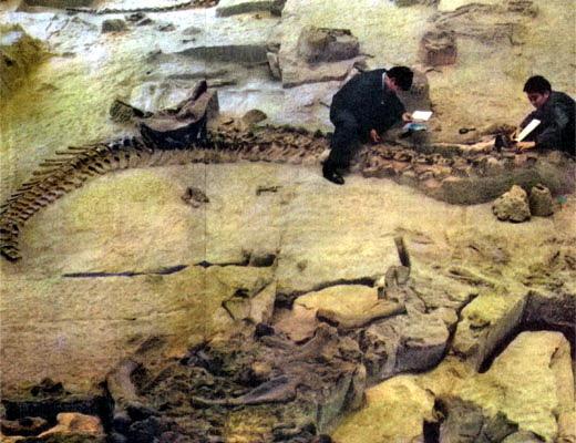 Журнал «Вокруг Света» №09 за 1987 год - TAG_img_cmn_2007_04_22_008_jpg668198