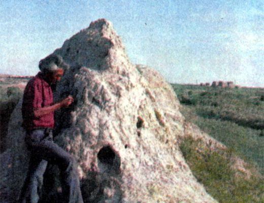 Журнал «Вокруг Света» №09 за 1987 год - TAG_img_cmn_2007_04_22_014_jpg344073