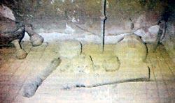 Журнал «Вокруг Света» №09 за 1991 год - TAG_img_cmn_2010_05_05_013_jpg103845