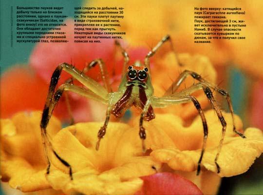 Журнал «Вокруг Света» №09 за 2002 год - TAG_img_cmn_2006_07_19_003_jpg784625