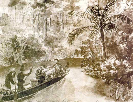 Журнал «Вокруг Света» №09 за 2002 год - TAG_img_cmn_2006_07_19_006_jpg280139