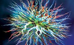 Журнал «Вокруг Света» №09 за 2007 год - TAG_img_cmn_2007_07_01_078_jpg344004