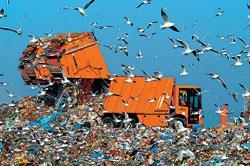 Журнал «Вокруг Света» №09 за 2008 год - TAG_img_cmn_2008_10_21_013_jpg116286