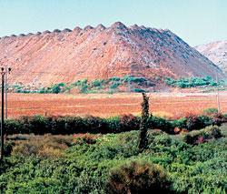 Журнал «Вокруг Света» №09 за 2008 год - TAG_img_cmn_2008_10_21_014_jpg566134