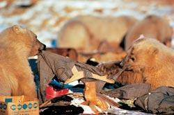 Журнал «Вокруг Света» №09 за 2008 год - TAG_img_cmn_2008_10_21_019_jpg867127