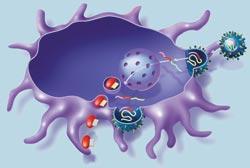 Журнал «Вокруг Света» №09 за 2008 год - TAG_img_cmn_2008_10_23_029_jpg533731