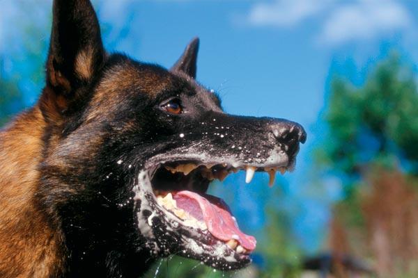 Журнал «Вокруг Света» №09 за 2009 год - TAG_img_cmn_2009_08_21_014_jpg549637